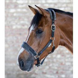 Kantar Waldhausen Elegant Black/Czarny