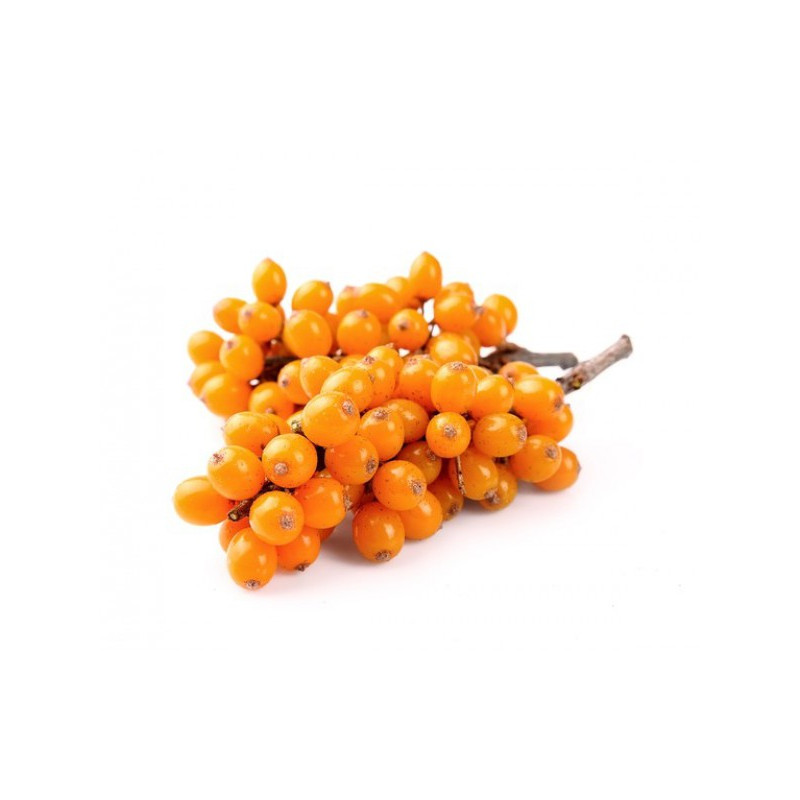 EQUIHERBS - ROKITNIK cały owoc, suszony 500g