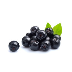 EQUIHERBS - ARONIA 1KG