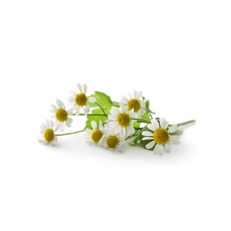 EQUIHERBS - RUMIANEK KWIAT 1kg
