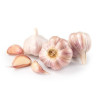 Czosnek Equiherbs granulowany 750g