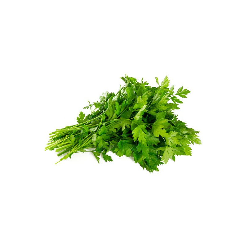 Equiherbs - Pietruszka Nać 1kg