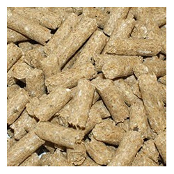SARACEN Competition Fit Cubes 20kg