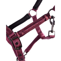 Kantar źrebięcy QHP "Lily" bordo Foal Full