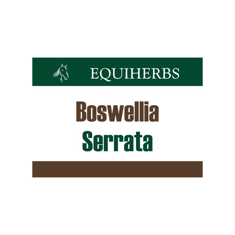 EQUIHERBS Boswellia Serrata – Kadzidłowiec Olibanum 500g