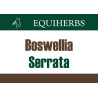 EQUIHERBS Boswellia Serrata – Kadzidłowiec Olibanum 500g