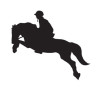 Naklejka na samochód HKM "Show Jumper II"