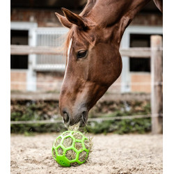 Piłka na siano Waldhausen "Hay Ball"