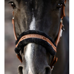 Kantar Waldhausen Elegant Cinnamon/Beżowy