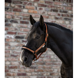 Kantar Waldhausen Elegant Cinnamon/Beżowy