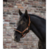 Kantar Waldhausen Elegant Cinnamon/Beżowy