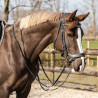 Wytok QHP ''Basic Pro''