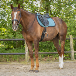 Czaprak QHP "Micah" Ocean Breeze/Zielony FULL