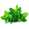 Equiherbs Mieta 500g