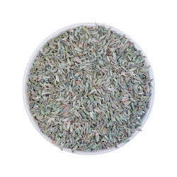 Equiherbs - Koper Włoski 1kg