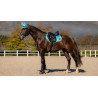 Czaprak skokowy LeMieux "Loire Classic Satin Close Contact" Azure