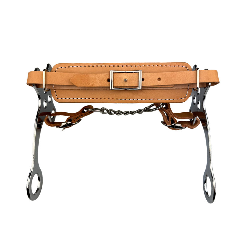 Hackamore York Hana 17,5