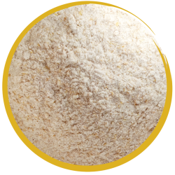 Mebio BIOCELL Senior – probiotyk 1 kg