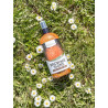 Horseline Odżywka brokatowa Brownie Shine 500ml