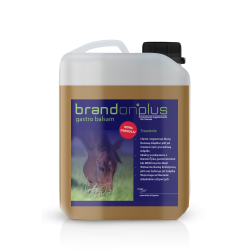 Brandon+ Gastro Balsam –...