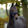 Kantar źrebięcy Kavalkade "Foal Star" granat