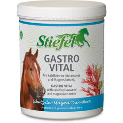 Gastro Vital Stiefel na...