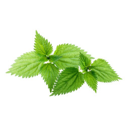 EQUIHERBS Pokrzywa...