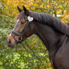 Numerek startowy QHP "Heart" srebrny