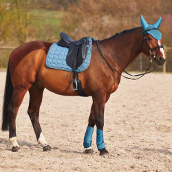 Horze Neoprenowe ochraniacze Marquess niebieskie XL