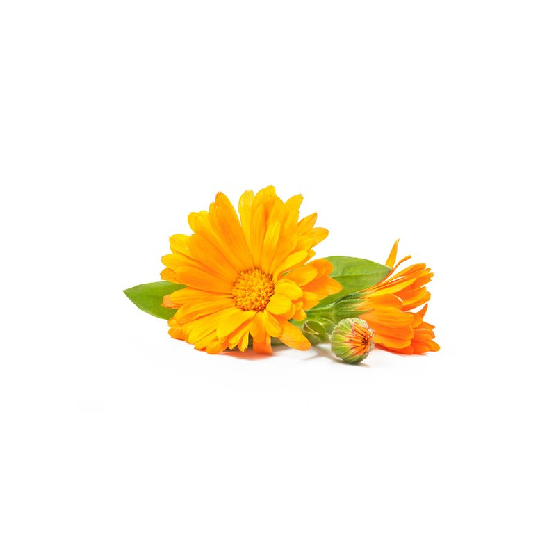 Equiherbs - Nagietek kwiat 1kg