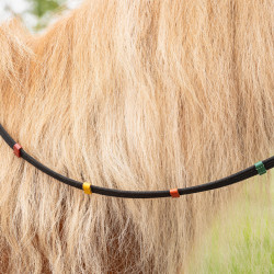 Wodze edukacyjne QHP "Color" Shetty