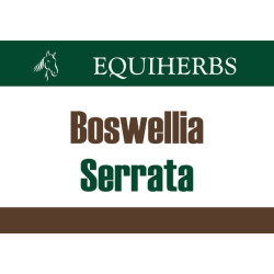 EQUIHERBS Boswellia Serrata – Kadzidłowiec Olibanum 1kg