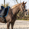 Wodze Thiedemanna QHP czarne FULL