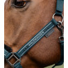 Kantar Waldhausen Elegant c.turkus/petrol blue