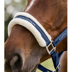 Kantar Waldhausen Elegant Night Blue/Granatowy