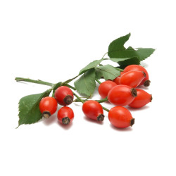 EQUIHERBS - DZIKA RÓŻA, cały owoc, suszony 500g