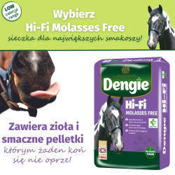 Dengie HI FI Molasses Free 20kg