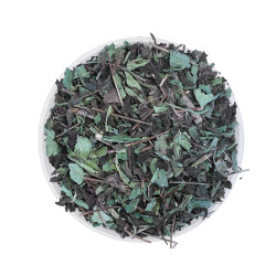 EQUIHERBS JEŻÓWKA - ECHINACEA 1KG