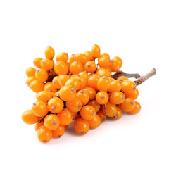 EQUIHERBS - ROKITNIK cały owoc, suszony 1kg - worek