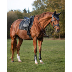 Czaprak wszechstronny QHP Kae czarny PONY