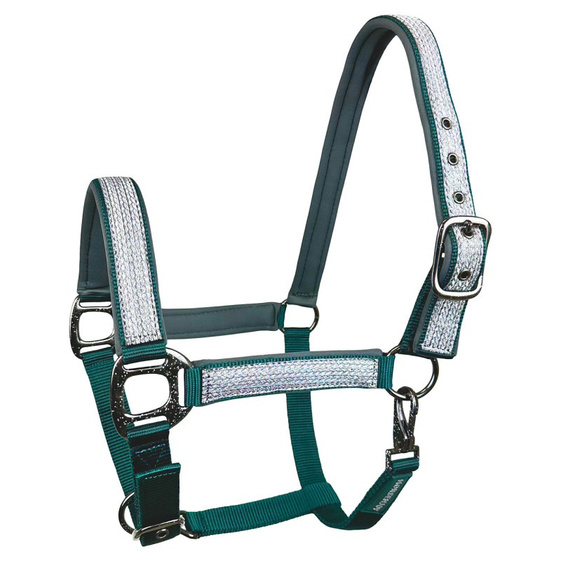 Kantar HE Glow zielony