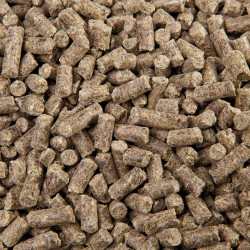 Eggersmann ReVital Cubes dla koni ochwatowych, z chorobą Cushinga i PSSM 25kg