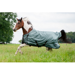 Derka padokowa HKM "High Comfort Style" 200g szałwia 145cm