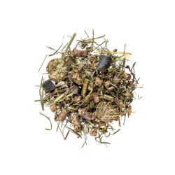 AGROBS MagenMusli – energetyczne musli dla wrażliwych koni – 15kg