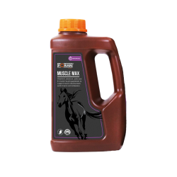 FORAN Muscle-Max - wspomagaja zdrowie, rozbudowę oraz regenerację mięśni