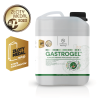 Hippovet Pharmacy GASTROGEL 2.0 -2,5 l – suplement na wrzody w formie żelu