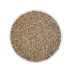 Equiherbs - Kozieradka 1kg całe ziarno