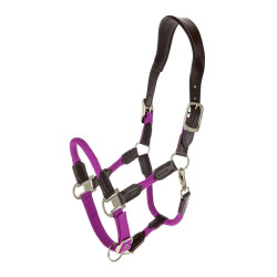 Kantar Covalliero "Cordano...