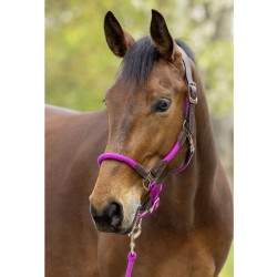 Kantar Covalliero "Cordano Deluxe" Light Berry/Magenta