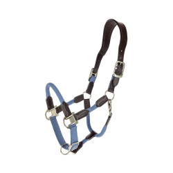 Kantar Covalliero "Cordano...